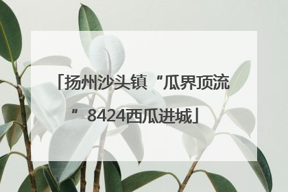 扬州沙头镇“瓜界顶流”8424西瓜进城