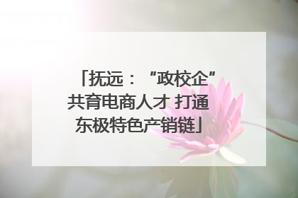 抚远：“政校企”共育电商人才 打通东极特色产销链