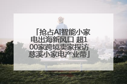 抢占AI智能小家电出海新风口 超100家跨境卖家探访慈溪小家电产业带