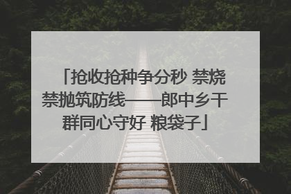 抢收抢种争分秒 禁烧禁抛筑防线——郎中乡干群同心守好 粮袋子