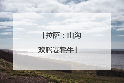 拉萨：山沟欢腾赛牦牛