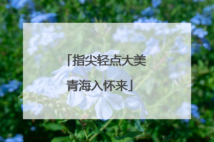 指尖轻点大美青海入怀来