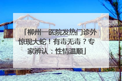 柳州一医院发热门诊外惊现大蛇！有毒无毒？专家辨认：性情温顺