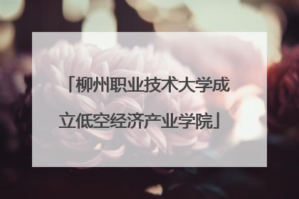 柳州职业技术大学成立低空经济产业学院