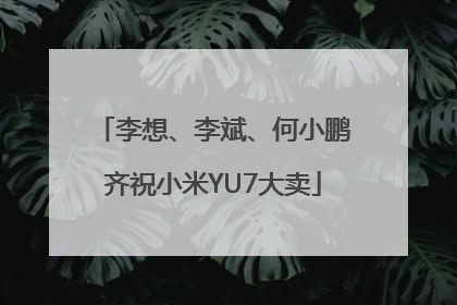 李想、李斌、何小鹏齐祝小米YU7大卖