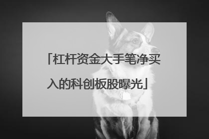 杠杆资金大手笔净买入的科创板股曝光