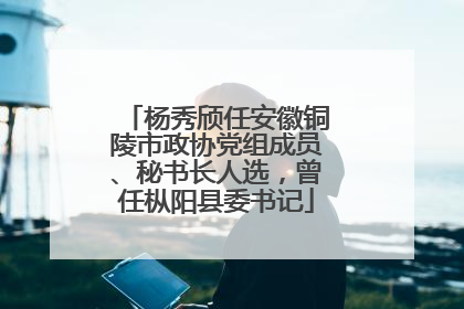 杨秀颀任安徽铜陵市政协党组成员、秘书长人选，曾任枞阳县委书记