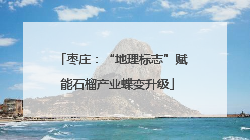枣庄：“地理标志”赋能石榴产业蝶变升级