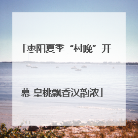 枣阳夏季“村晚”开幕 皇桃飘香汉韵浓