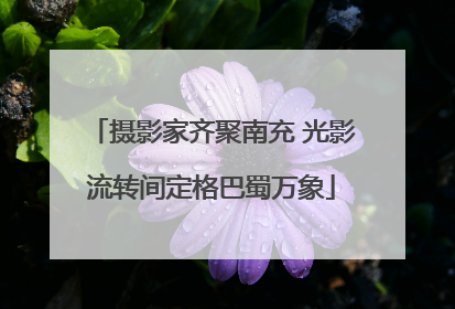 摄影家齐聚南充 光影流转间定格巴蜀万象