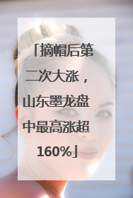 摘帽后第二次大涨，山东墨龙盘中最高涨超160%