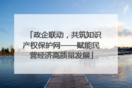政企联动，共筑知识产权保护网——赋能民营经济高质量发展