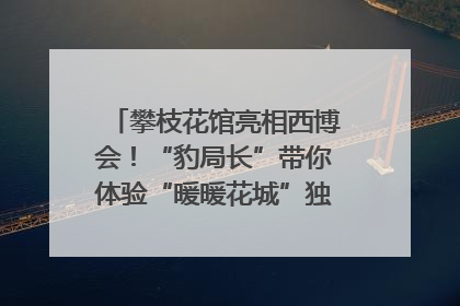 攀枝花馆亮相西博会！“豹局长”带你体验“暖暖花城”独特魅力｜西博视界