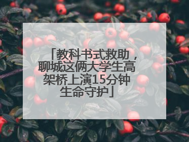 教科书式救助，聊城这俩大学生高架桥上演15分钟生命守护