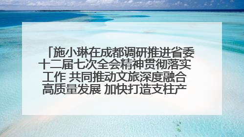施小琳在成都调研推进省委十二届七次全会精神贯彻落实工作 共同推动文旅深度融合高质量发展 加快打造支柱产业民生产业幸福产业