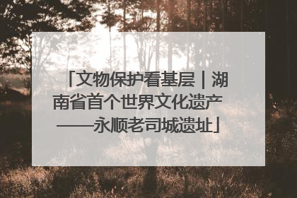 文物保护看基层｜湖南省首个世界文化遗产——永顺老司城遗址