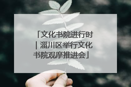 文化书院进行时｜淄川区举行文化书院观摩推进会
