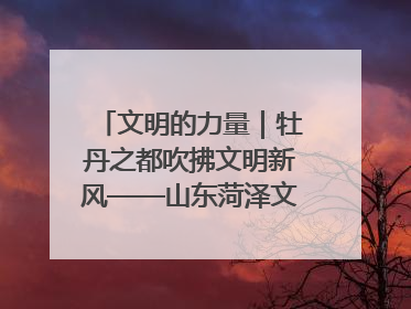 文明的力量｜牡丹之都吹拂文明新风——山东菏泽文明创建一线见闻