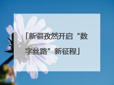 新疆孜然开启“数字丝路”新征程