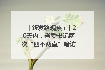 新发路观察+｜20天内，省委书记两次“四不两直”暗访，有何深意？