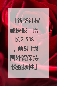 新华社权威快报｜增长2.5%，前5月我国外贸保持较强韧性
