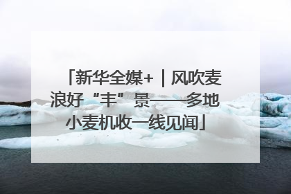 新华全媒+｜风吹麦浪好“丰”景——多地小麦机收一线见闻