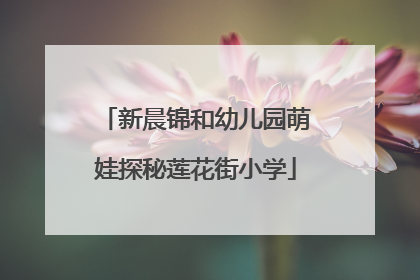 新晨锦和幼儿园萌娃探秘莲花街小学