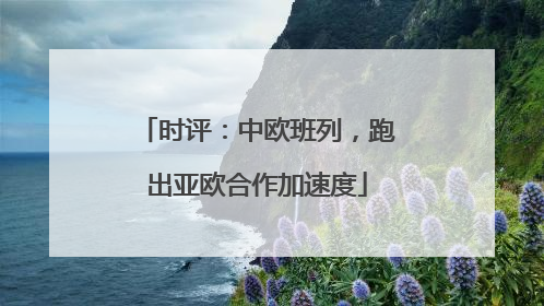 时评：中欧班列，跑出亚欧合作加速度
