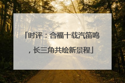 时评：合福十载汽笛鸣，长三角共绘新景程
