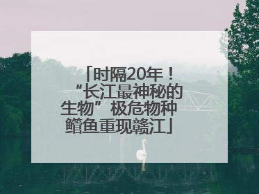 时隔20年！“长江最神秘的生物”极危物种鳤鱼重现赣江