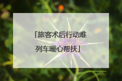 旅客术后行动难 列车暖心帮扶