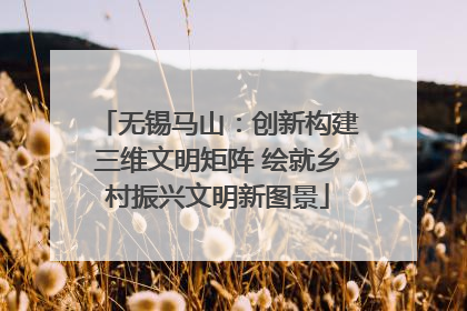 无锡马山：创新构建三维文明矩阵 绘就乡村振兴文明新图景