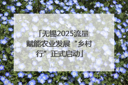 无锡2025流量赋能农业发展“乡村行”正式启动