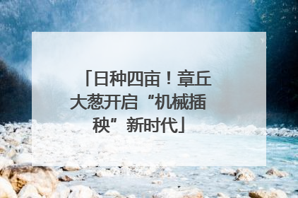 日种四亩！章丘大葱开启“机械插秧”新时代