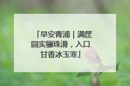 早安青浦｜满筐圆实骊珠滑，入口甘香冰玉寒