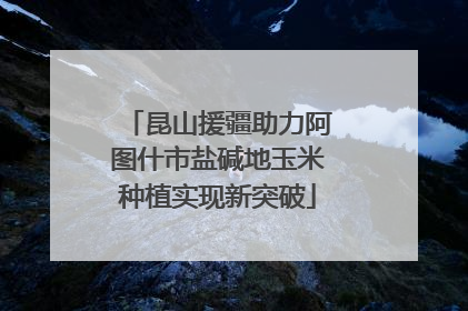 昆山援疆助力阿图什市盐碱地玉米种植实现新突破