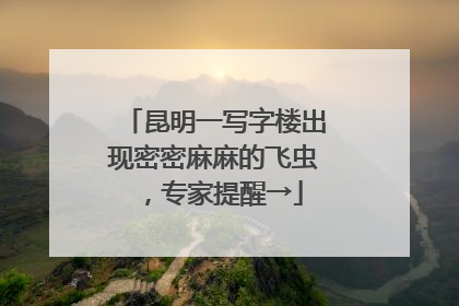 昆明一写字楼出现密密麻麻的飞虫，专家提醒→