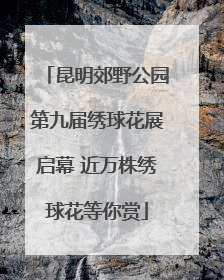 昆明郊野公园第九届绣球花展启幕 近万株绣球花等你赏
