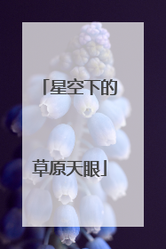星空下的草原天眼