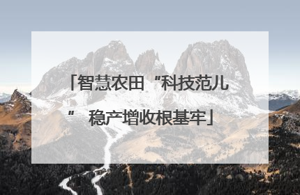 智慧农田“科技范儿” 稳产增收根基牢