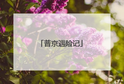 普京遇险记