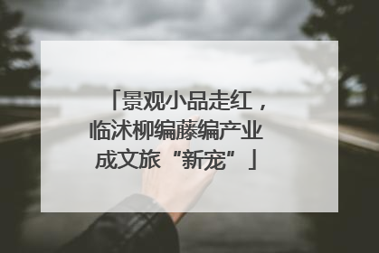 景观小品走红，临沭柳编藤编产业成文旅“新宠”