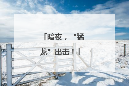 暗夜，“猛龙”出击！