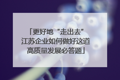 更好地“走出去” 江苏企业如何做好这道高质量发展必答题