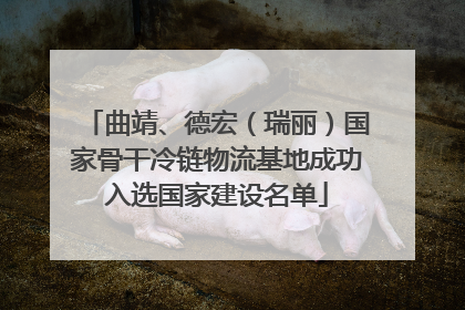 曲靖、德宏（瑞丽）国家骨干冷链物流基地成功入选国家建设名单