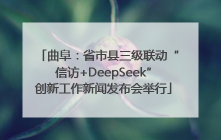 曲阜：省市县三级联动“信访+DeepSeek”创新工作新闻发布会举行