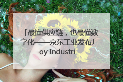 最懂供应链，也最懂数字化——京东工业发布Joy Industrial 重塑工业未来