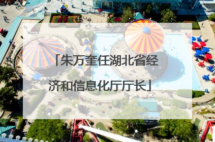 朱万奎任湖北省经济和信息化厅厅长