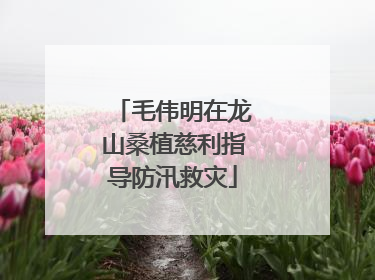 毛伟明在龙山桑植慈利指导防汛救灾