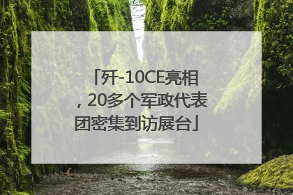 歼-10CE亮相，20多个军政代表团密集到访展台